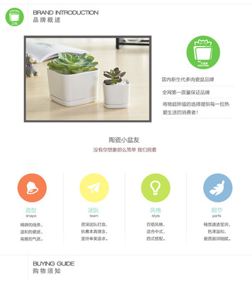 多肉花盆_创意款 多肉花盆 多肉植物 手工陶瓷家居热卖摆件品 