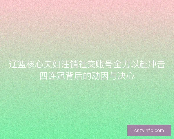 辽篮核心夫妇注销社交账号全力以赴冲击四连冠背后的动因与决心